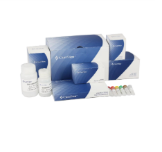 qPCR耗材相關(guān)產(chǎn)品價(jià)格調(diào)整