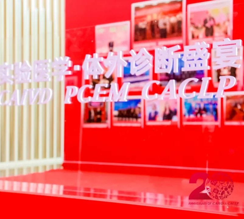 初夏盛會，精彩回顧