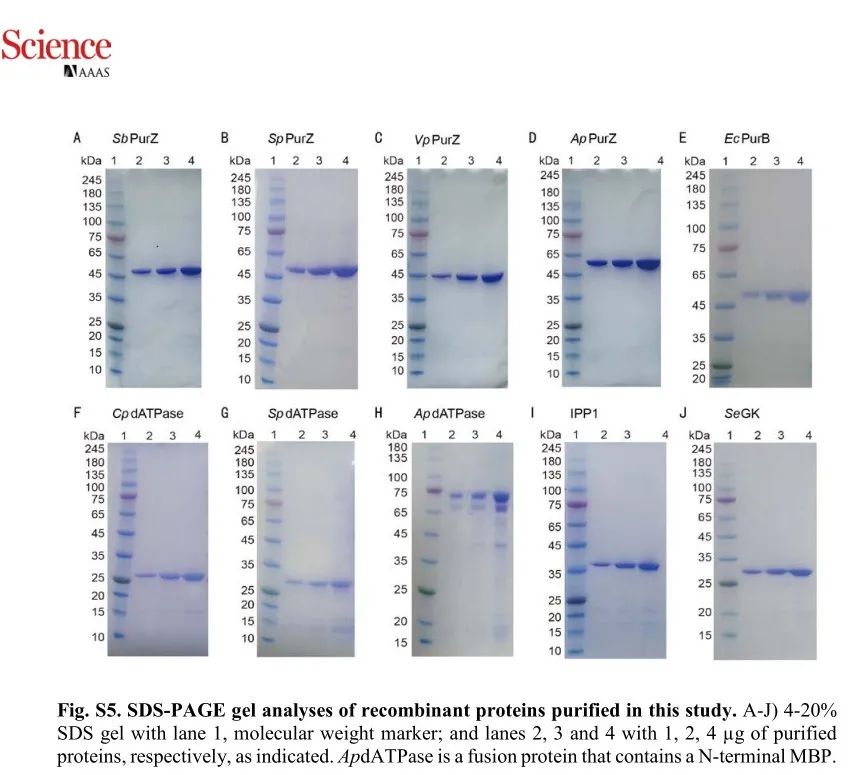 22121202.jpg 22121202.jpg